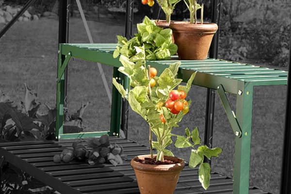 Vitavia Green Top Tier Staging Extension above a potting shed bench