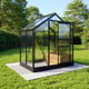 Vitavia 6x4 Black Venus 2500 Greenhouse - Horticultural Glass