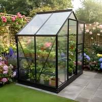 Vitavia 6x4 Black Venus 2500 Greenhouse - Polycarbonate Glazing