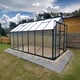 Vitavia Phoenix Black 8x10 Greenhouse