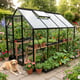 Vitavia 8x6 Black Venus 5000 Greenhouse