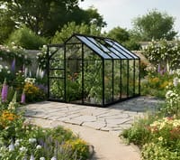Vitavia 6x10 Black Apollo 6200 Greenhouse - Toughened Glass