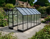 Vitavia 6x12 Black Apollo 7500 Greenhouse - Polycarbonate Glazing