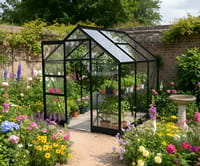 Vitavia 6x6 Black Apollo 3800 Greenhouse - Toughened Glass