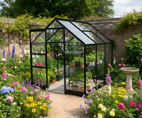 Vitavia 6x6 Black Apollo 3800 Greenhouse - Horticultural Glass