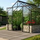 Vitavia Cassandra Black 8x10 8300 Dwarf Wall Greenhouse