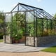 Vitavia Cassandra Black 8x10 8300 Dwarf Wall Greenhouse