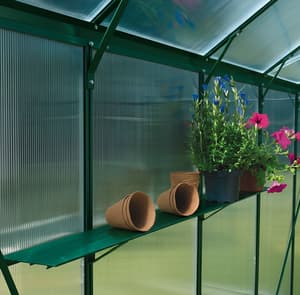 Vitavia Green  Shelf