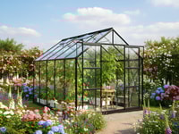 Vitavia 8x10 Black Jupiter 8300 Greenhouse - Horticultural Glass