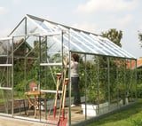 Vitavia 8x14 Jupiter 11500 Greenhouse - Horticultural Glass