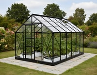Vitavia 8x12 Black Neptune 9900 Greenhouse - Toughened Glass