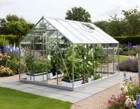 Vitavia 8x12 Neptune 9900 Greenhouse - Horticultural Glass