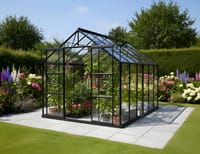 Vitavia 8x12 Black Phoenix 9900 Greenhouse - Toughened Glass