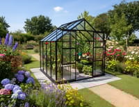 Vitavia 8x8 Black Phoenix 6700 Greenhouse - Horticultural Glass