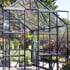 Vitavia Phoenix Black 8x10 Greenhouse Double Door