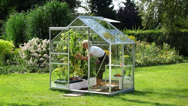 How Does a Greenhouse Work? Explained