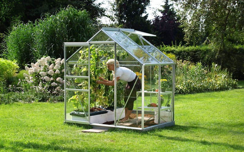 Vitavia Venus 2500 aluminium greenhouse showing glass panels that trap heat