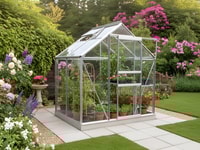 Vitavia 6x4 Venus 2500 Greenhouse - Horticultural Glass
