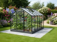 Vitavia 6x12 Black Venus 7500 Greenhouse - Toughened Glass