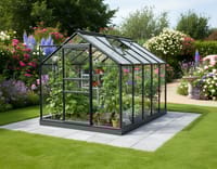 Vitavia 6x10 Black Venus 6200 Greenhouse - Toughened Glass
