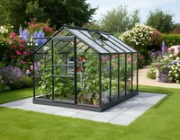 Vitavia 6x10 Black Venus 6200 Greenhouse - Horticultural Glass