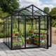 Vitavia Zeus 8x10 Greenhouse