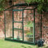 Halls 2x6 Wall Garden Green Lean to Greenhouse with Work Bench