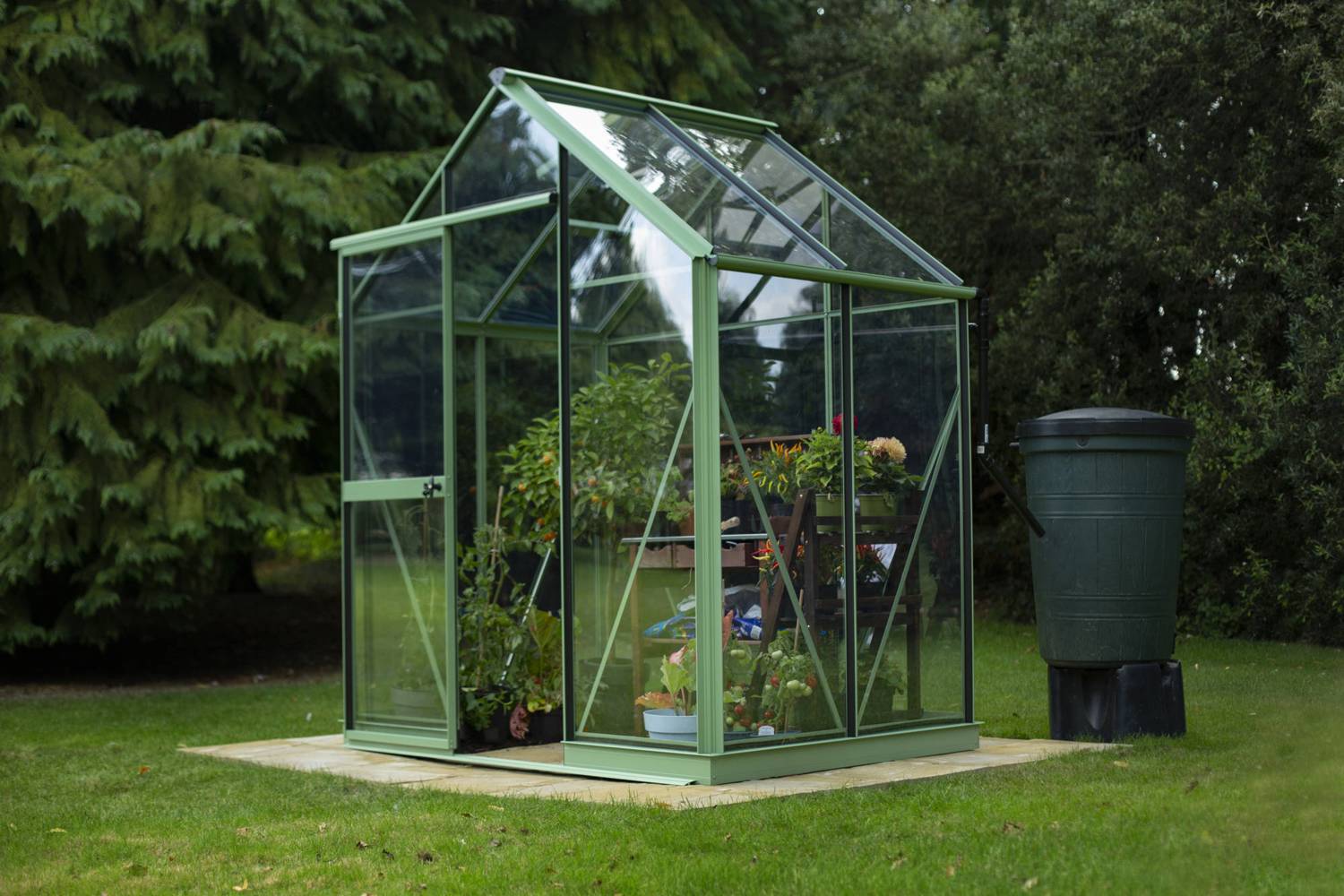 Evika G1 6x4 Pale Green Greenhouse Clear Acrylic