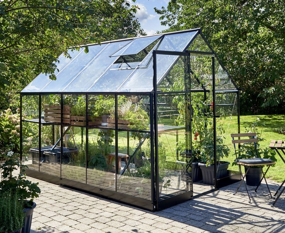 6x10 Halls Qube Greenhouse  Greenhouse  Stores