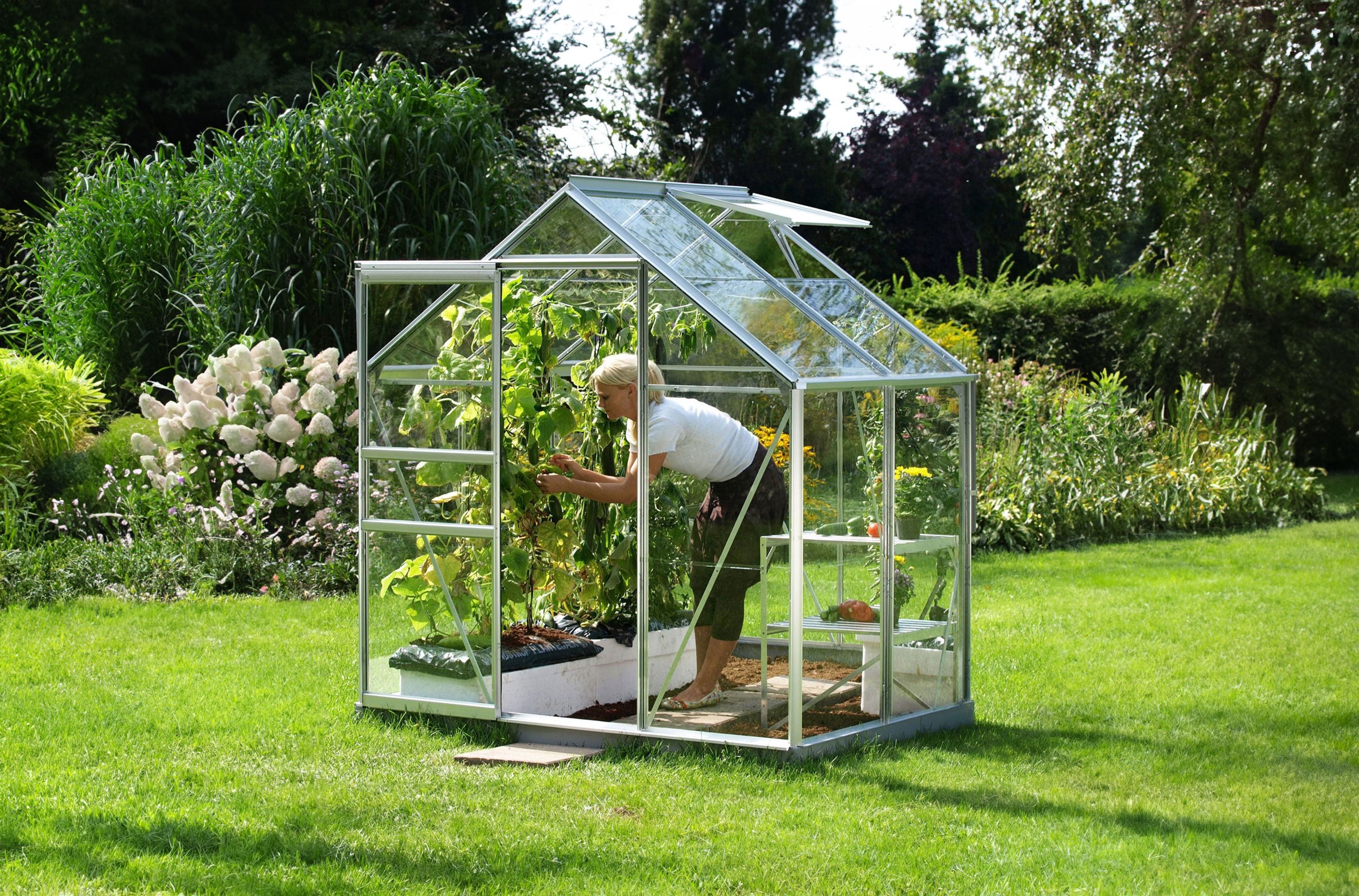 Vitavia 6x4 Venus 2500 Greenhouse Horticultural