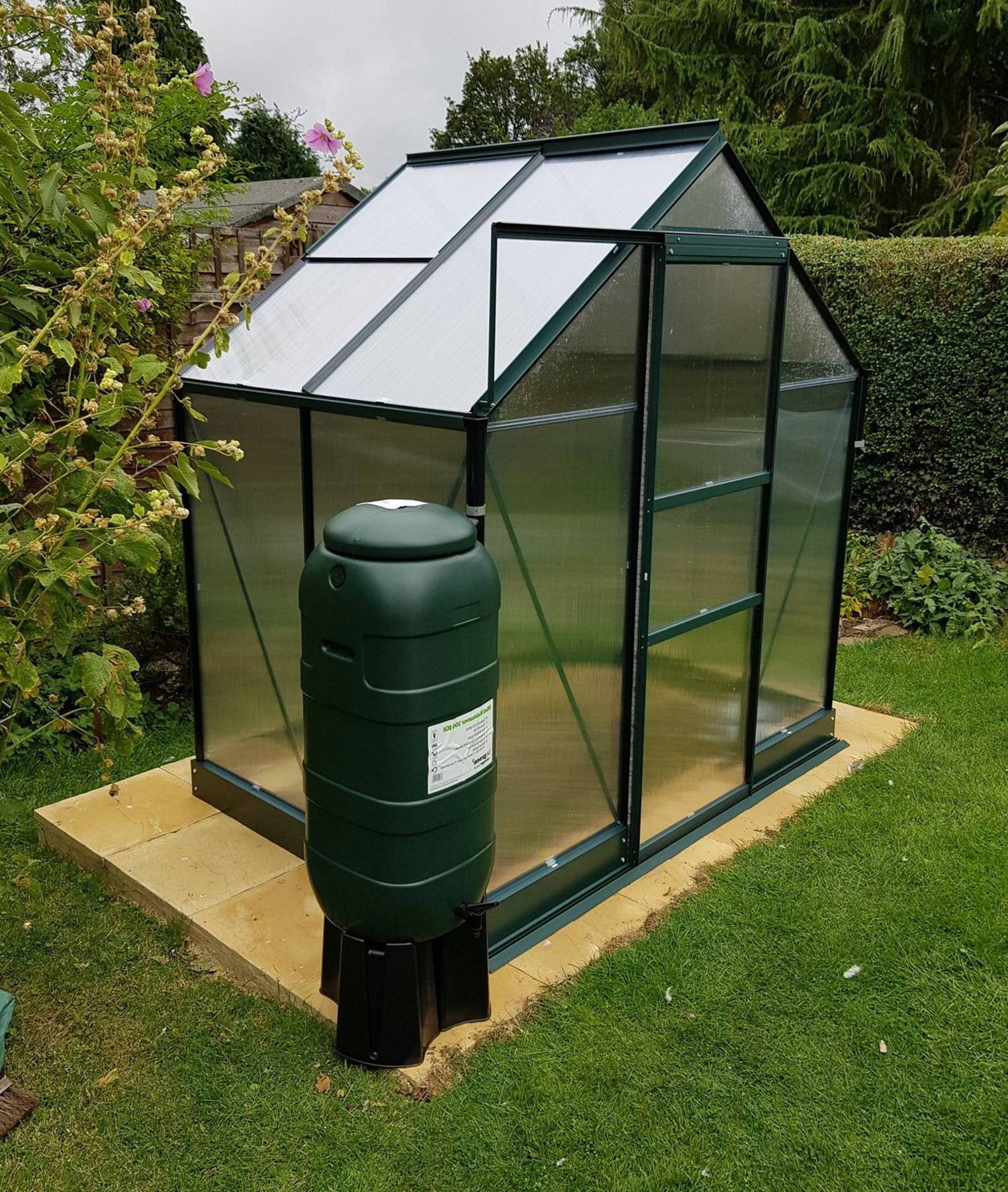 Vitavia Apollo Green 6x4 Greenhouse Polycarbonate