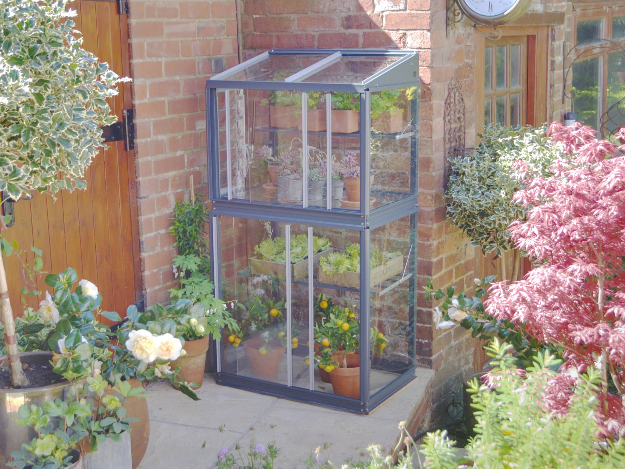 Halls 2x6 Wall Garden Lean-to Greenhouse With Toughened Glazing